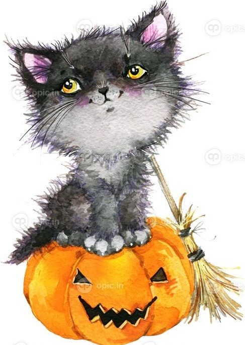 دانلود تعطیلات هالووین جادوگر گربه کمی و کدو تنبل. تصویر زمینه ...