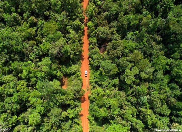 عکس / جاده محلی داخل جنگل آمازون- اخبار رسانه ها تسنیم | Tasnim