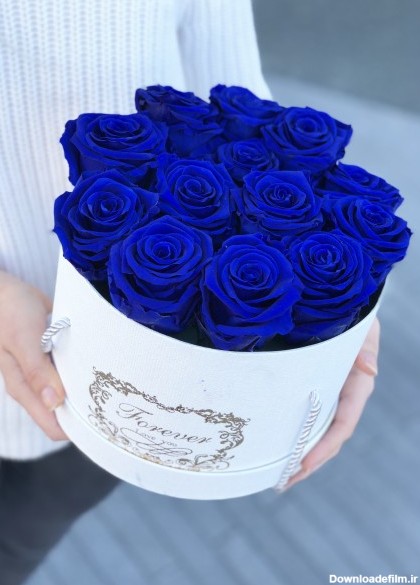 گل رز آبی | عکس گل و دسته گل رز آبی رنگ زیبا برای پروفایل