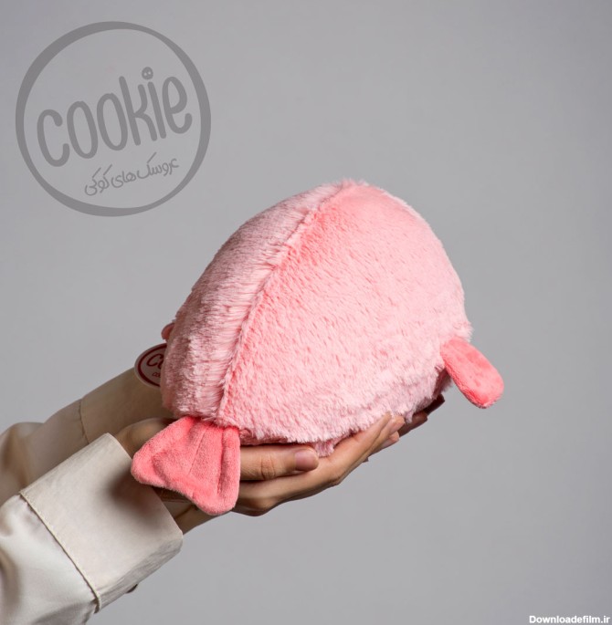 عروسک ماهی دماغ گنده - عروسک های کوکی cookiedolls