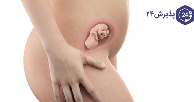 انواع حرکات جنین در نه ماه بارداری تا زایمان | پذیرش۲۴