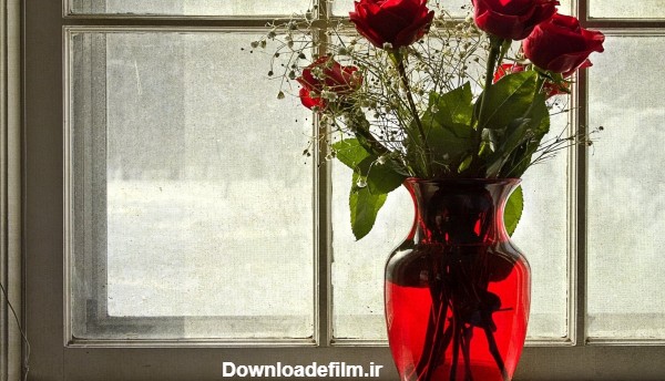 عکس گلدان گلهای رز rose vase flowers