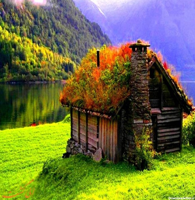 روی این خانه های غیر طبیعی در نروژ درخت می روید!
