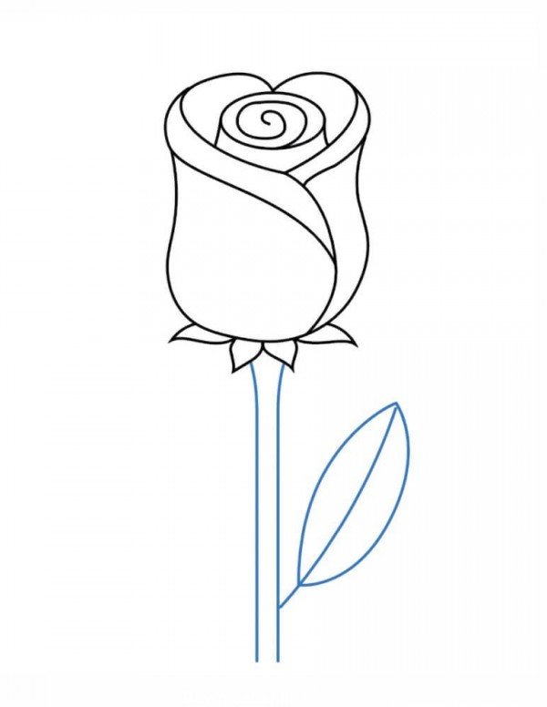 عکس گل رز برای نقاشی