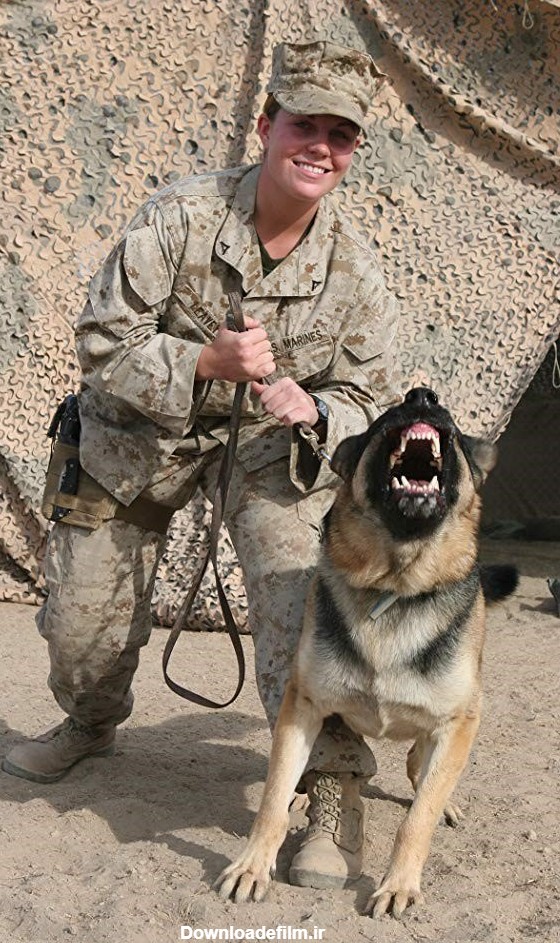 سینماگران آمریکایی چگونه از "سگ" قهرمان جنگی می سازند + عکس- اخبار ...