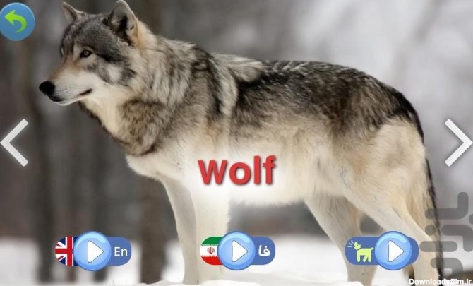 صدای حیوانات ، سرگرمی آموزش کودکان - عکس بازی موبایلی اندروید