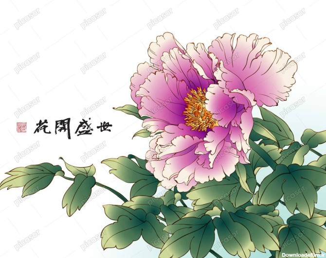 وکتور گل پیونی صورتی - وکتور نقاشی چینی از گل صورتی » پیکاسور