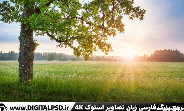 دانلود عکس با کیفیت طلوع آفتاب – دیجیتال پی اس دی | DigitalPSD
