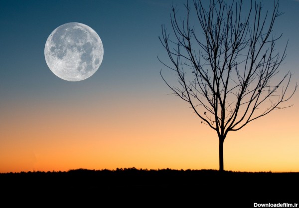 عکس زمینه ماه کامل در غروب آفتاب پس زمینه | والپیپر گرام