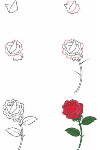 نقاشی گل کودکانه [رز] ساده، زیبا و رنگ شده، کارتونی و فانتزی
