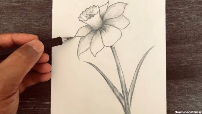 طراحی گل بسیار آسان با مداد - طراحی آسان گل برای مبتدیان