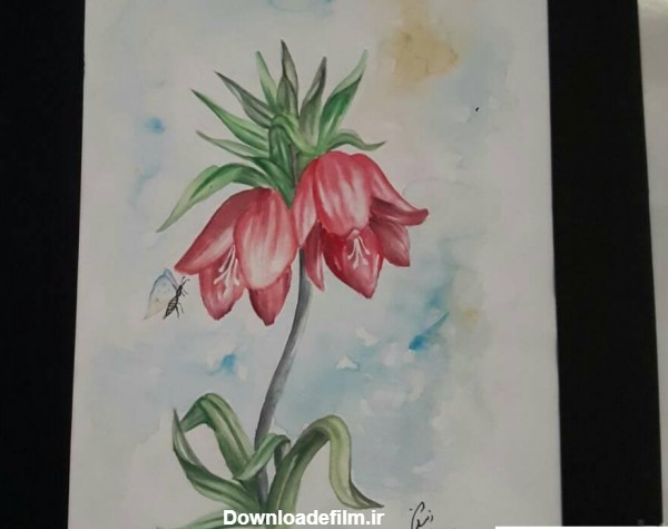 نقاشی گل شیپوری رنگ روغن