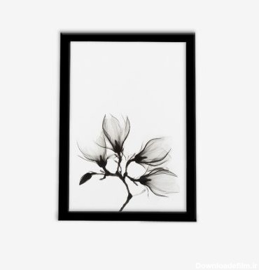 تابلو مدرن گل سیاه و سفید | وتاگالری | تابلو دیواری مدرن و ست ...