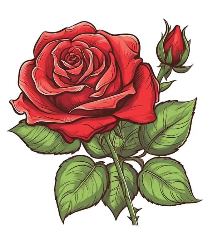 دانلود طرح شاخه گل رز قرمز زیبا | تیک طرح مرجع گرافیک ایران %