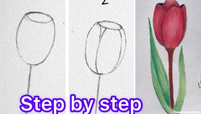 نحوه کشیدن گل رز مرحله به مرحله - فیلم آموزش طراحی گل رز