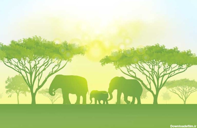 تصویر پس زمینه فانتزی جنگل و فیل ها