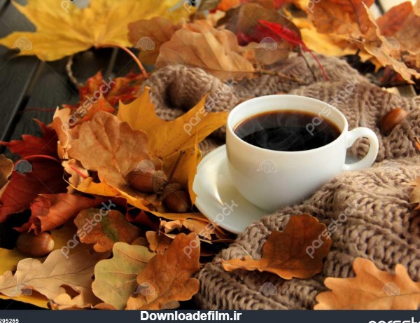 پاییز برگ بخار فنجان قهوه و یک شال گرم در پس زمینه میز فصلی قهوه ...