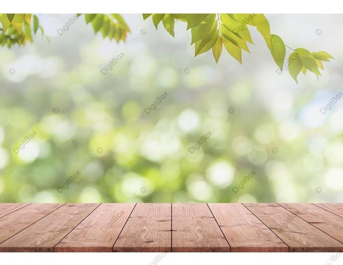عکس سکوی چوبی با پس زمینه باغ - دیجیت باکس - DigitBox