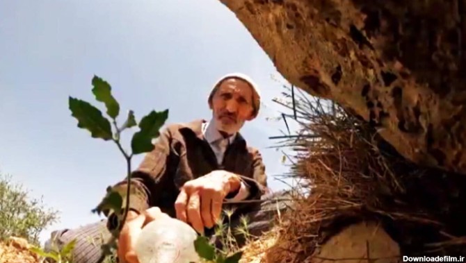 احیای یک جنگل توسط پیرمرد ۸۰ ساله ایرانی + فیلم