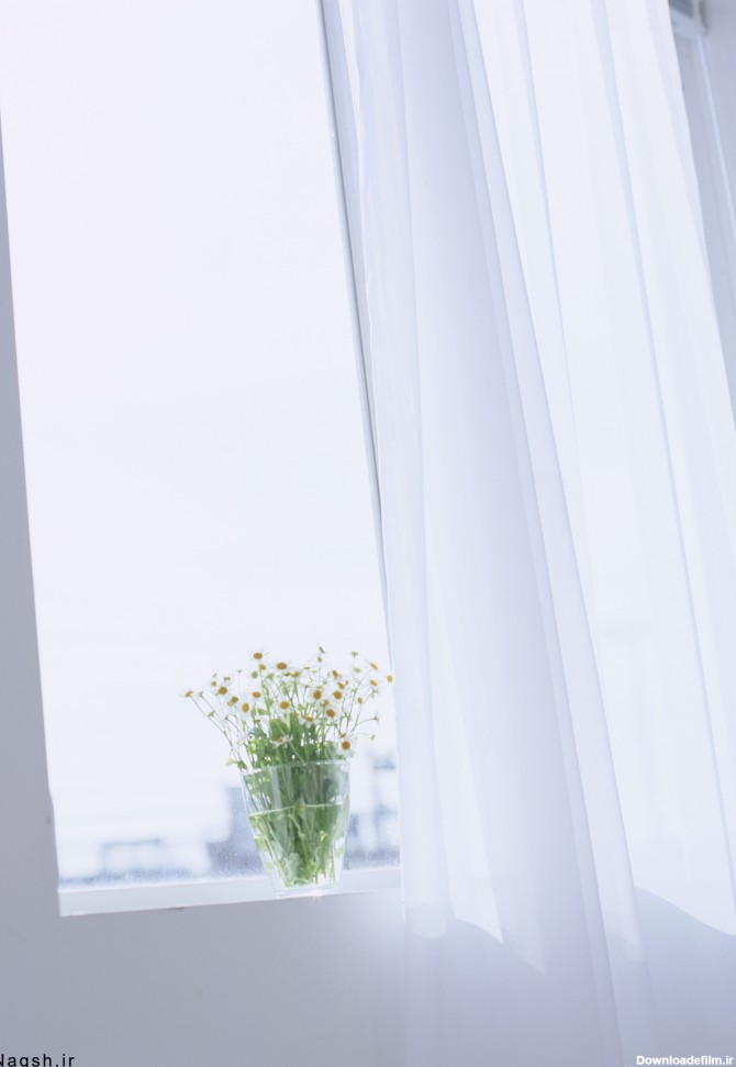 یک گلدان گل جلوی پنجره - گالری تصاویر نقش