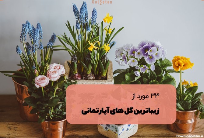 عکس خوشگل ترین گل های طبیعی