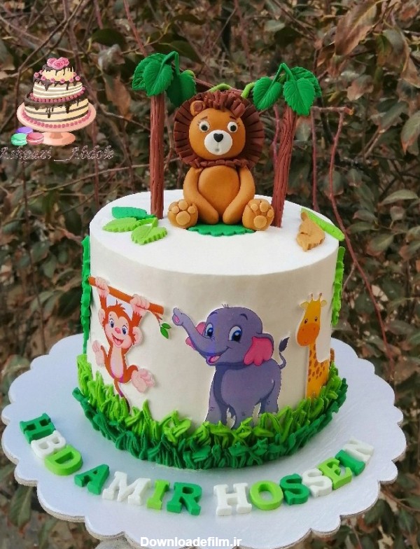کیک حیوانات جنگل | سرآشپز پاپیون