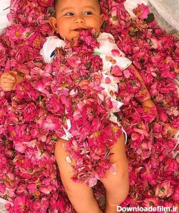 آیین گل غلتان، رسم دیرینه و جالب سمنانی‌ها برای نوزادان