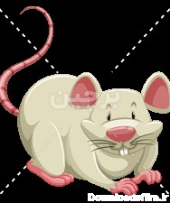 عکس کارتونی و دوربری شده موش سفید زیبا | بُرچین – تصاویر ...