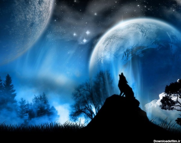تصویر والپیپر زیبا از گرگ در حال زوزه کشیدن در شب مهتابی