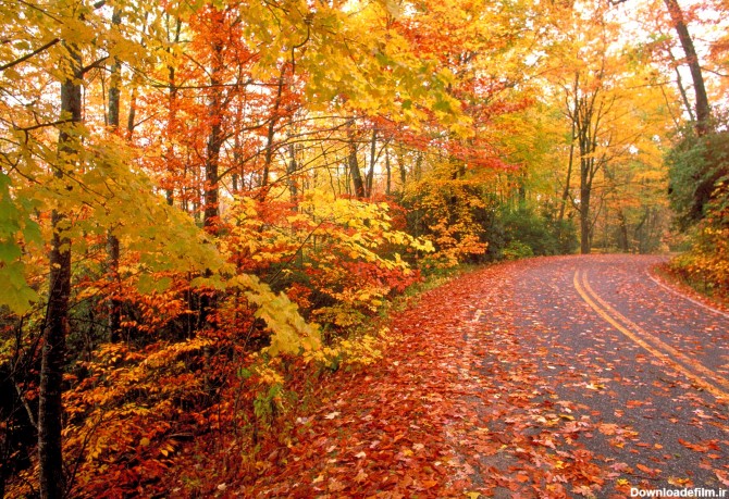 پاییز هزار رنگ/ گردشی در طبیعت پاییزی ماسال - شبستان