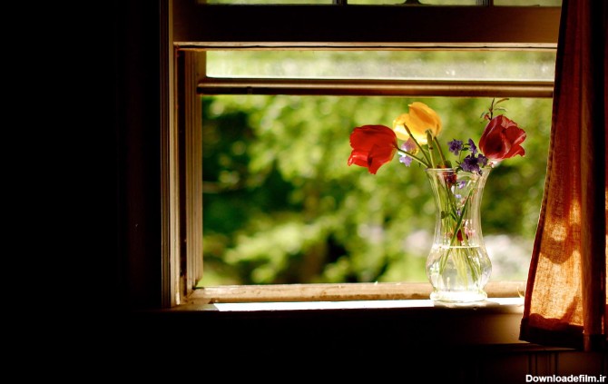 گلدانی کنار پنجره