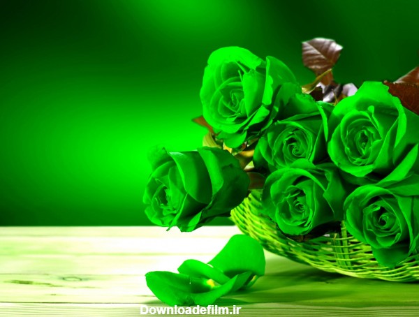 عکس گل طبیعی سبز