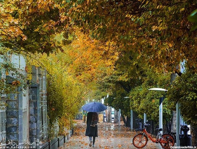 بهترین خیابان های شیراز برای گشت و گذار