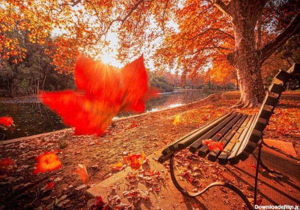 عکسهای زیبا در مورد پاییز