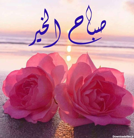 صبح بخیر به عربی با متن و جملات زیبا (رسمی، دوستانه و عاشقانه) - ستاره