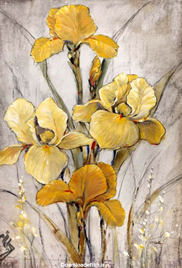 گالری ایماژ: تابلو نقاشی زنبق طلایی I