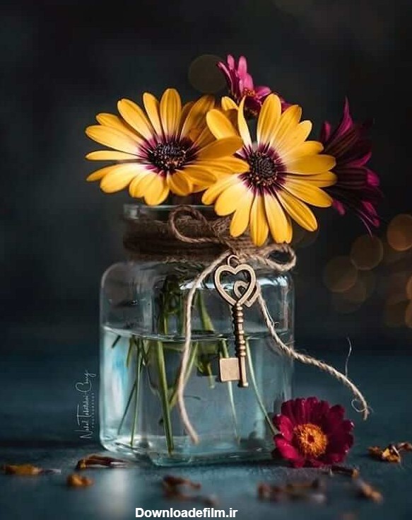عکس گل و گلدان برای پروفایل