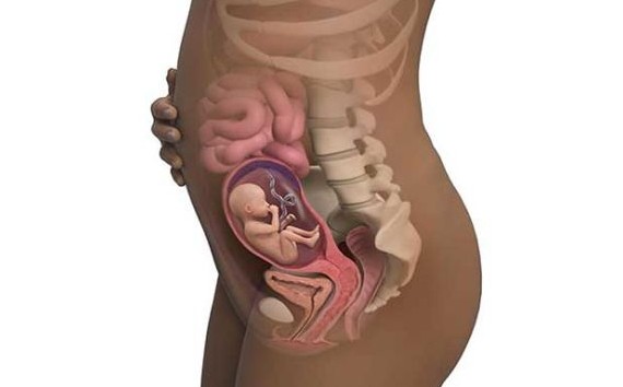 ماه پنجم بارداری - علائم، اندازه شکم و مراقبت های ضروری