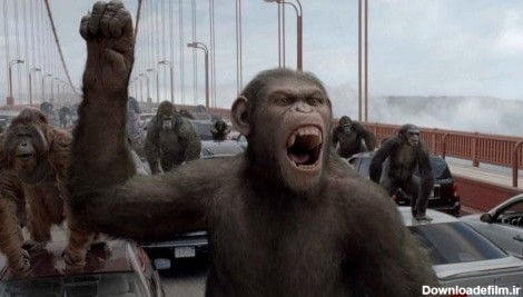 دانلود فیلم ظهور سیاره میمون ها 2011
