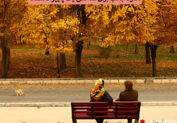 20 ایده رمانتیک برای ساختن پاییز عاشقانه | گُل سِتان
