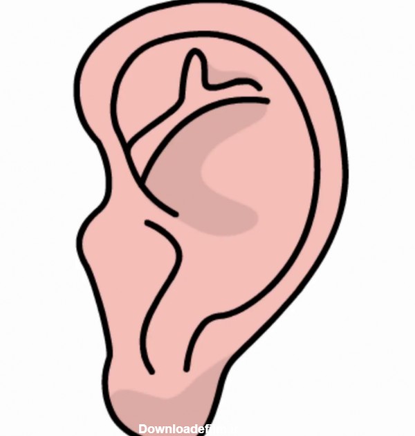 گوش غالب و گوش مغلوب چیست؟ | کلینیک سمعک و شنوایی