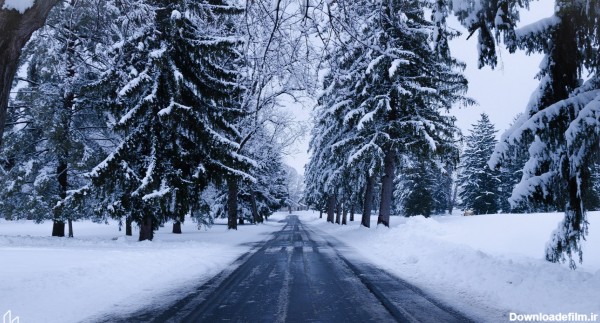 جاده ی برفی - عکس منظره برفی با کیفیت بالا