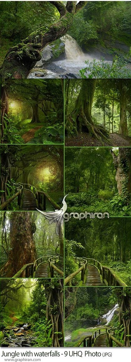 دانلود تصاویر استوک بک گراند جنگل فوق با کیفیت Jungle UHQ Photos