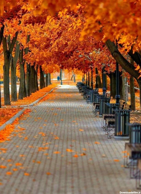 عکسهای زیبا در مورد پاییز