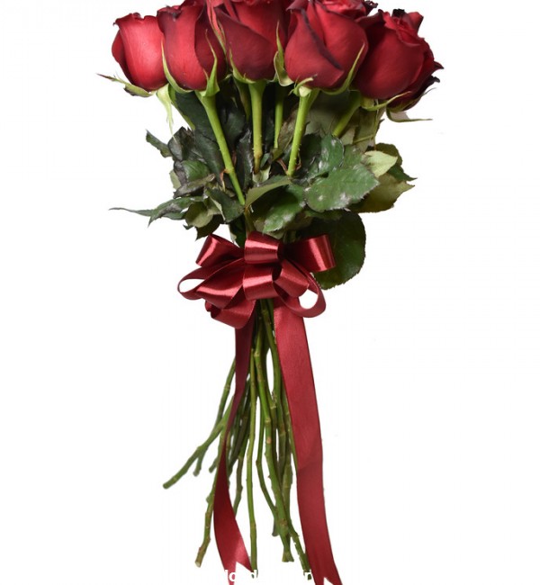 مشخصات، قیمت و خرید شاخه گل رز هلندی قرمز دسته 20 عددی | دیجی‌کالا