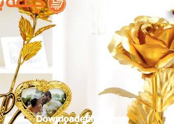 گل رز طلا قاب عکس دار - جمعه بازار