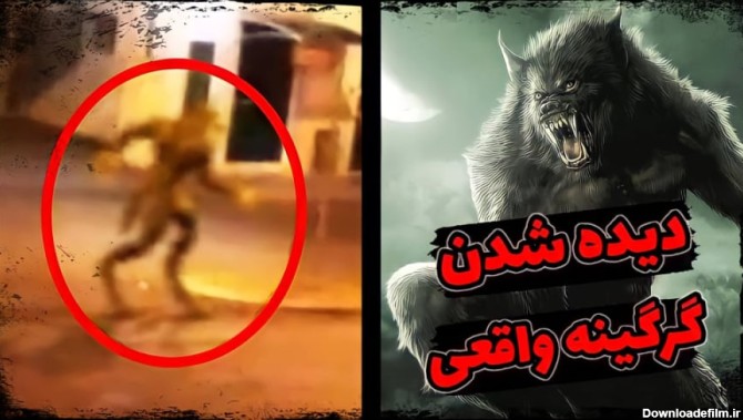 ترسناک ترین ویدیو های واقعی ضبط شده از گرگینه ها | آیا گرگینه ها واقعی هستند