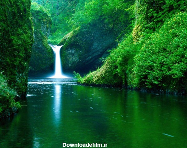 عکس های طبیعت زیبا رودخانه در جنگل های شگفت انگیز با کیفیت بالا