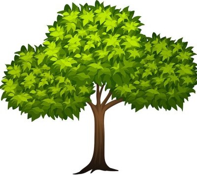 طرح وکتور درخت سبز