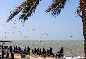 صبح پاییزی در ساحل بوشهر